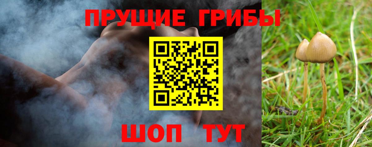 Галлюциногенные грибы GOLDEN TEACHER  Вход с VPN  Кольчугино 